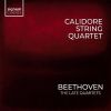 Download track 9. String Quartet No. 14 In C Sharp Minor Op. 131 - V. Presto
