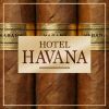 Download track Rays Of The Cuban Morning Sun