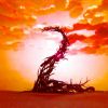 Download track A Second Time