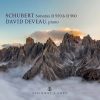 Download track Schubert: Piano Sonata No. 14 In A Major, D. 959: II. Andantino