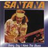 Download track Every Day I Have The Blues