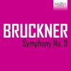 Download track Symphony No. 9 In D Minor, WAB 109: III. Adagio. Langsam, Feierlich (1)