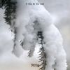 Download track From The Bottom Up