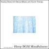 Download track Mental Harmony With Deep Sleep And Soundscapes