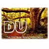 Download track Du