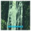Download track Moonlit Reflections