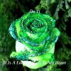Download track Dreamwave