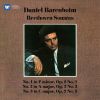 Download track Beethoven: Piano Sonata No. 1 In F Minor, Op. 2 No. 1: III. Menuetto. Allegretto