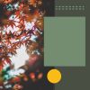 Download track Paradise Like Backdrops For Recharging Routines
