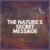 Download track Gentle Rain Nature's Relaxing Sounds