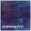 Download track Indeterminacy