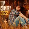 Download track Whiskey And Rain