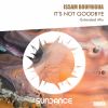 Download track It's Not Goodbye (Extended Mix)