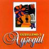 Download track Kızılcıklar Oldumu