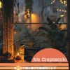Download track Serene Soundscapes For Learning