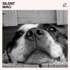 Download track Relaxing Music For Pets