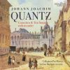 Download track Concerto For 2 Flutes In G Minor, QV6: A: I. Allegro