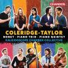 Download track 11. Piano Quintet In G Minor Op. 1 - IV. Allegro Molto