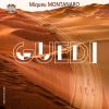 Download track Volutes