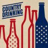 Download track Fix A Drink