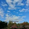 Download track Mathematical Disrespect Lyrics