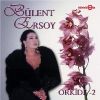 Download track Ayrılık Ateşten Bir Ok