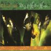 Download track Diary Of A Hollow Horse (Acoustic Version)