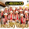 Download track El Rayo De Sinaloa