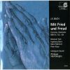 Download track 19 - BWV 138 -VII- Weil Du Mein Gott Und Vater Bist