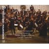 Download track Concerto For Viola, String Orchestra And Kettle-Drums - 2