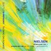 Download track Symphony No. 1 In G Minor, Op. 7, FS 16 IV. Finale. Allegro Con Fuoco (Live)