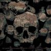 Download track Semper In Te Gloriam