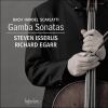 Download track 16 Bach Sonata In D Major, BWV1028 - 2 Allegro
