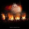 Download track Sycamore Trees (Outro) (Live In 2023)