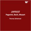 Download track Violin Concerto In D Minor, MWV O3: III. Allegro