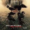 Download track We're Only Dreaming