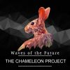 Download track Cosmic Frequencies