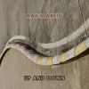 Download track The Marching Strings