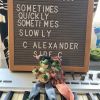 Download track On Aging (What Did You Do?)