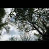 Download track Let's Play A Game