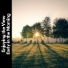 Download track Wind's Ripples And Whispers