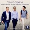 Download track 02 - Violin Sonata No. 1 In D Minor, Op. 75- I. Adagio