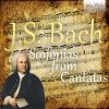 Download track Christ Lag In Todesbanden, BWV 4: I. Sinfonia