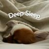 Download track Deep Healing, Pt. 18