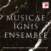 Download track String Quartet No. 2 In D Major - III. Notturno. Andante