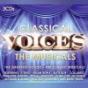Download track Think Of Me (Phantom Of The Opera)