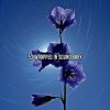 Download track Insomniacs Remedy