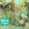 Download track Honey Glazed Afternoons