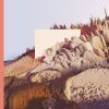 Download track Discombobulated