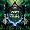 Download track Reality Check